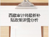 西藏审计师最新补贴政策详情分析