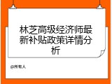 林芝高级经济师最新补贴政策详情分析