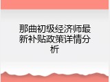 那曲初级经济师最新补贴政策详情分析