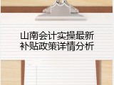 山南会计实操最新补贴政策详情分析