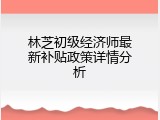 林芝初级经济师最新补贴政策详情分析
