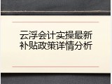 云浮会计实操最新补贴政策详情分析