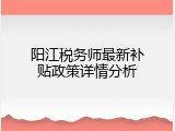 阳江税务师最新补贴政策详情分析