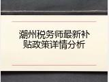 潮州税务师最新补贴政策详情分析