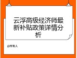 云浮高级经济师最新补贴政策详情分析