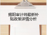揭阳审计师最新补贴政策详情分析