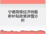 宁德高级经济师最新补贴政策详情分析