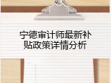 宁德审计师最新补贴政策详情分析