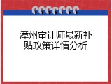 漳州审计师最新补贴政策详情分析