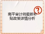 南平审计师最新补贴政策详情分析