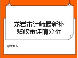 龙岩审计师最新补贴政策详情分析