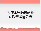 太原审计师最新补贴政策详情分析