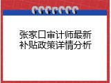 张家口审计师最新补贴政策详情分析