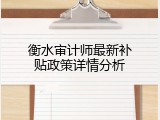 衡水审计师最新补贴政策详情分析