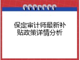 保定审计师最新补贴政策详情分析