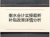 衡水会计实操最新补贴政策详情分析