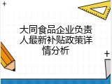 大同食品企业负责人最新补贴政策详情分析