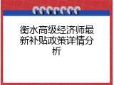 衡水高级经济师最新补贴政策详情分析