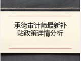 承德审计师最新补贴政策详情分析