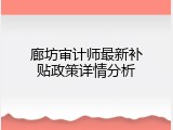 廊坊审计师最新补贴政策详情分析