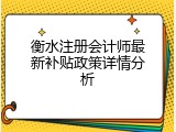 衡水注册会计师最新补贴政策详情分析