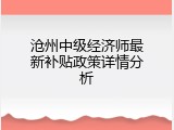 沧州中级经济师最新补贴政策详情分析