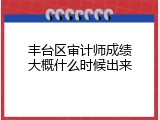 丰台区审计师成绩大概什么时候出来