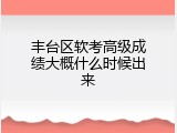 丰台区软考高级成绩大概什么时候出来