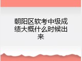 朝阳区软考中级成绩大概什么时候出来