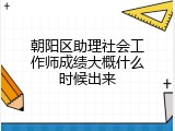 朝阳区助理社会工作师成绩大概什么时候出来