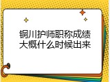 铜川护师职称成绩大概什么时候出来
