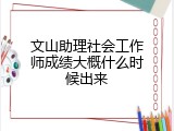 文山助理社会工作师成绩大概什么时候出来