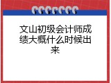 文山初级会计师成绩大概什么时候出来