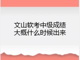 文山软考中级成绩大概什么时候出来