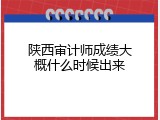 陕西审计师成绩大概什么时候出来