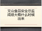 文山食品安全总监成绩大概什么时候出来