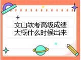 文山软考高级成绩大概什么时候出来