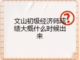 文山初级经济师成绩大概什么时候出来