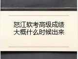 怒江软考高级成绩大概什么时候出来