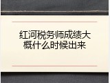 红河税务师成绩大概什么时候出来