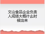 文山食品企业负责人成绩大概什么时候出来