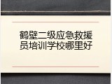 鹤壁二级应急救援员培训学校哪里好