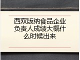 西双版纳食品企业负责人成绩大概什么时候出来
