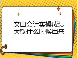 文山会计实操成绩大概什么时候出来