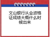 文山银行从业资格证成绩大概什么时候出来