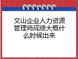 文山企业人力资源管理师成绩大概什么时候出来