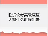 临沂软考高级成绩大概什么时候出来