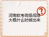 河南软考高级成绩大概什么时候出来