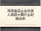 菏泽食品企业负责人成绩大概什么时候出来