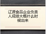 辽源食品企业负责人成绩大概什么时候出来